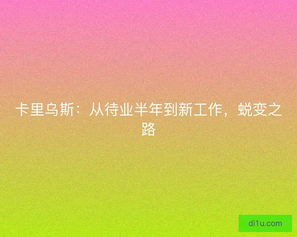 卡里乌斯：从待业半年到新工作，蜕变之路