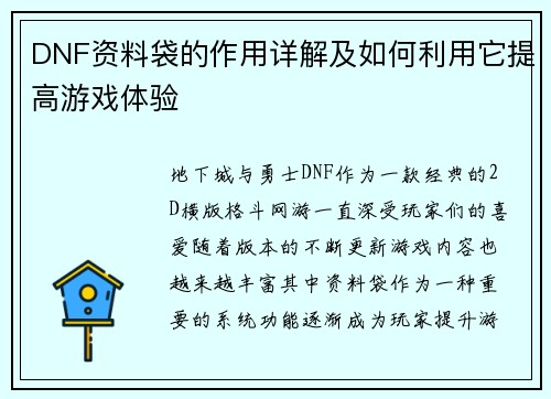 DNF资料袋的作用详解及如何利用它提高游戏体验